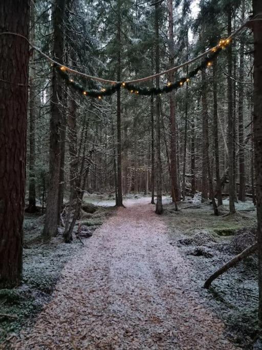 Отель Treetop Ekne - Hytte I Skogen Med Hengebru Левангер Экстерьер фото