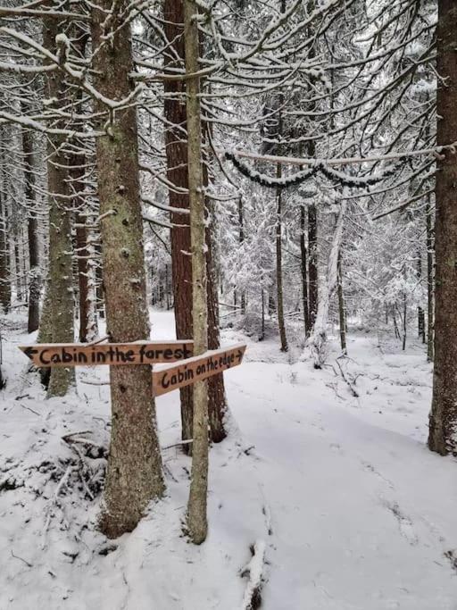 Отель Treetop Ekne - Hytte I Skogen Med Hengebru Левангер Экстерьер фото