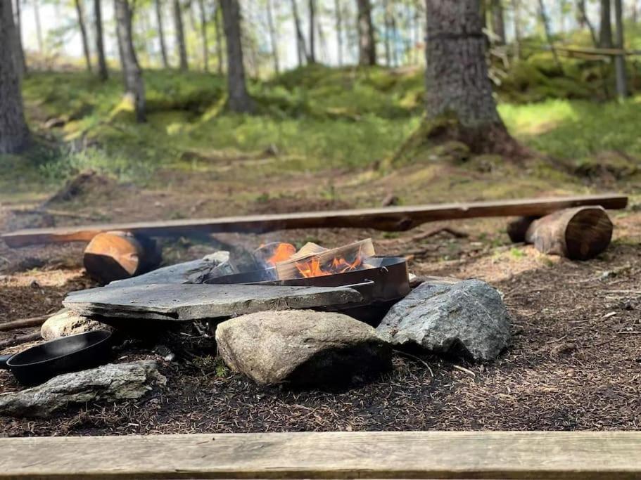 Отель Treetop Ekne - Hytte I Skogen Med Hengebru Левангер Экстерьер фото