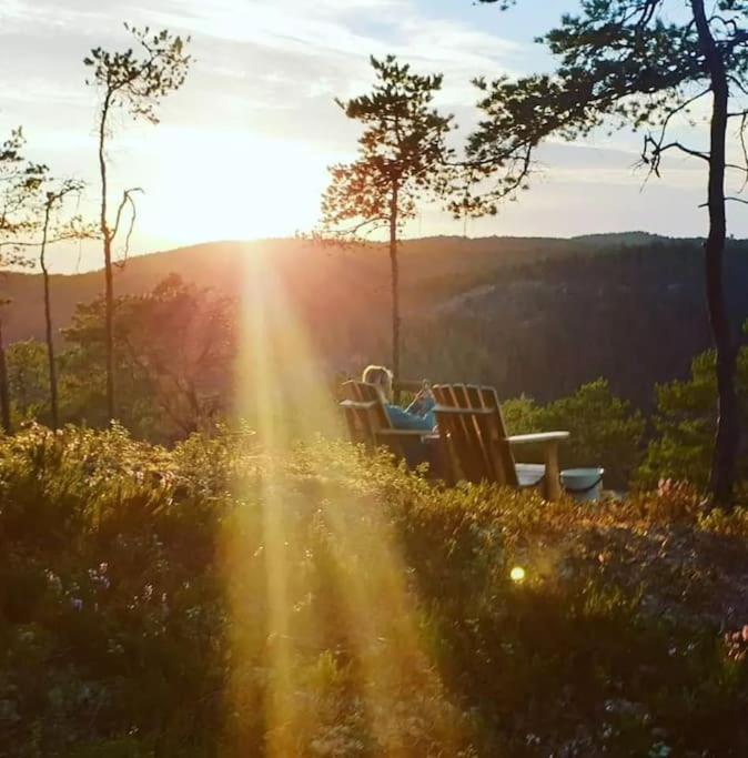 Отель Treetop Ekne - Hytte I Skogen Med Hengebru Левангер Экстерьер фото