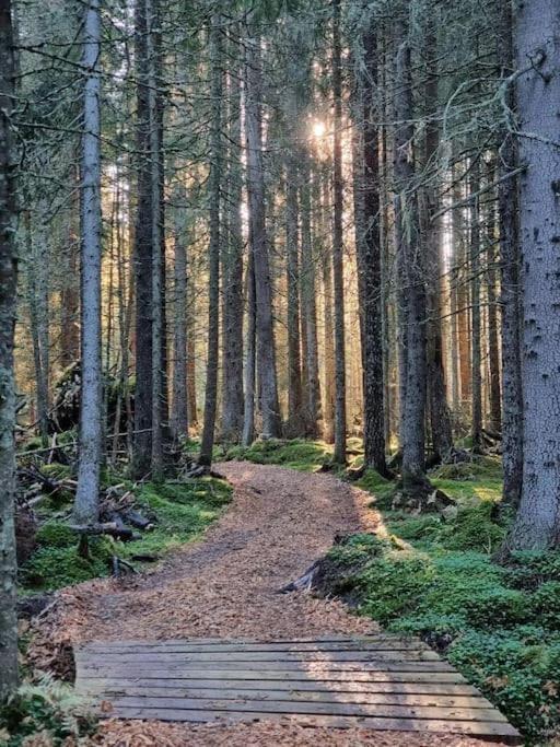 Отель Treetop Ekne - Hytte I Skogen Med Hengebru Левангер Экстерьер фото