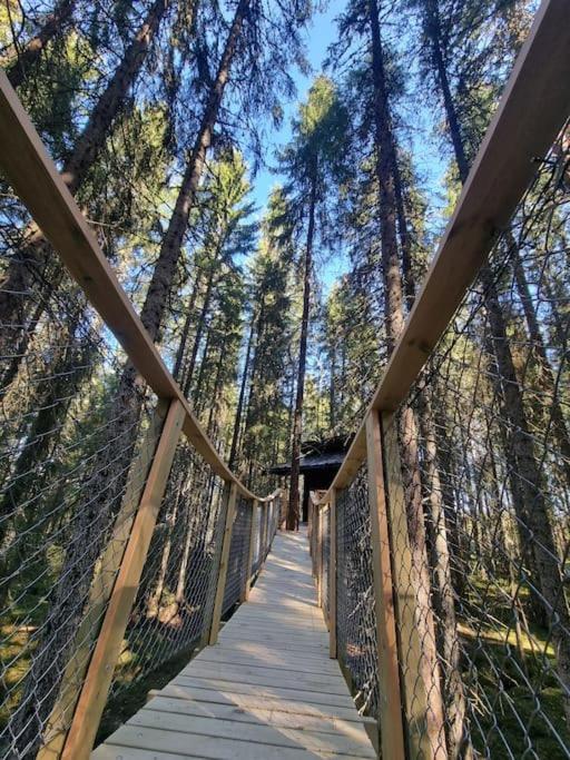 Отель Treetop Ekne - Hytte I Skogen Med Hengebru Левангер Экстерьер фото