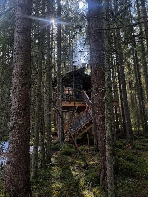 Отель Treetop Ekne - Hytte I Skogen Med Hengebru Левангер Экстерьер фото