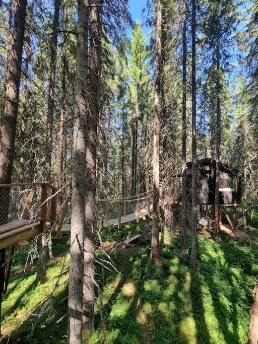 Отель Treetop Ekne - Hytte I Skogen Med Hengebru Левангер Экстерьер фото