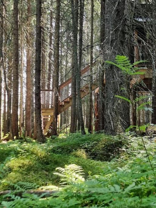 Отель Treetop Ekne - Hytte I Skogen Med Hengebru Левангер Экстерьер фото